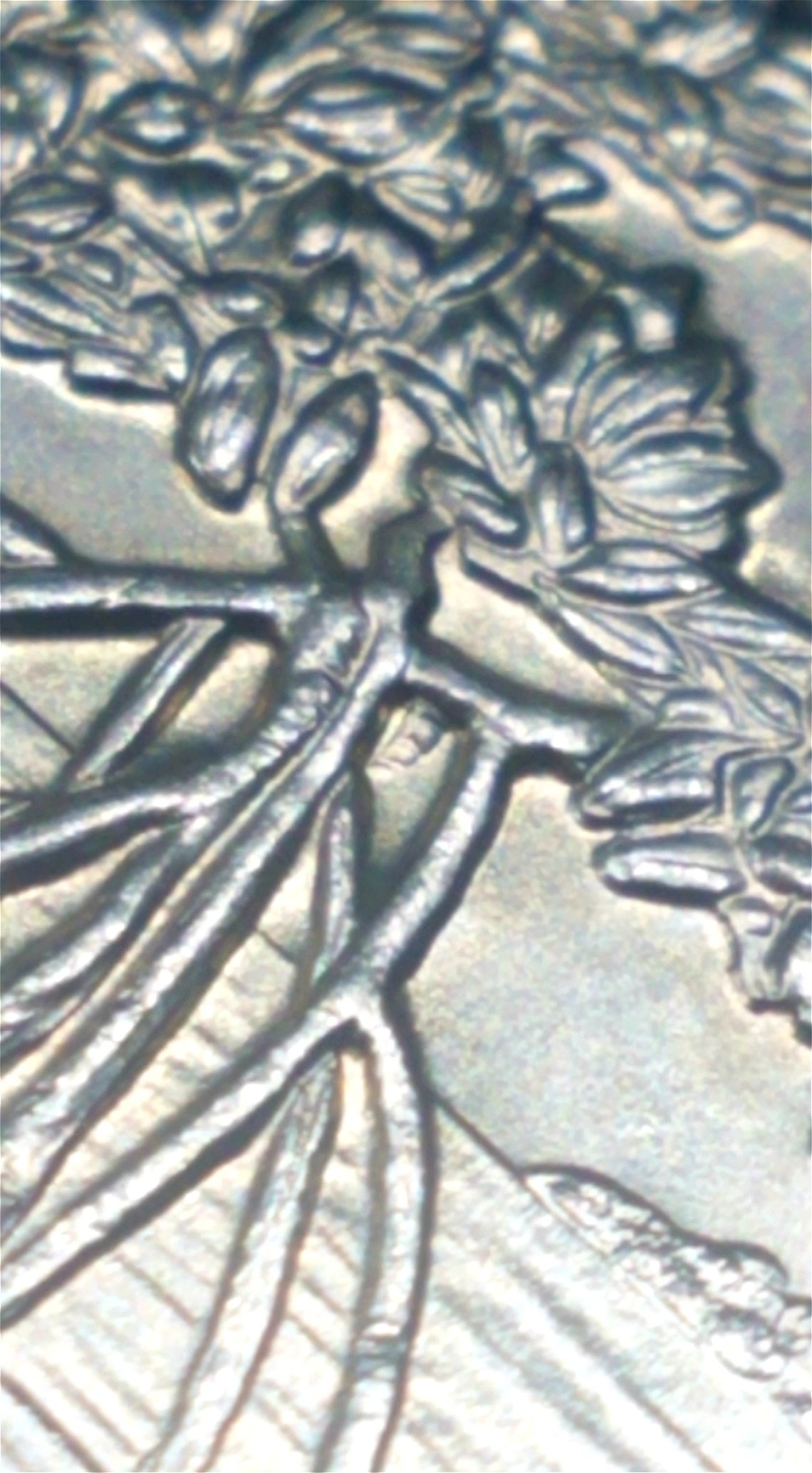 2020-P-Salt-River-Bay-Quarter-Extra-Partial-Branch-On-Reverse?
